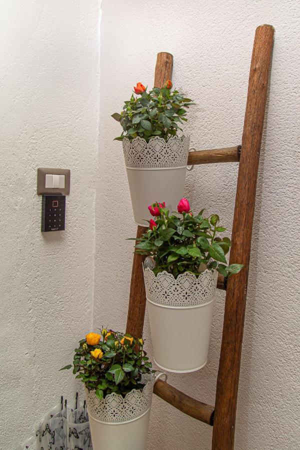 باليرمو Il Palchetto B&B Di Charme E Design المظهر الخارجي الصورة